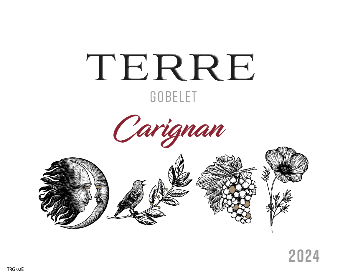"Terre Gobelet / Roqueterre" Carignan V.v. IGP Pays d'Oc